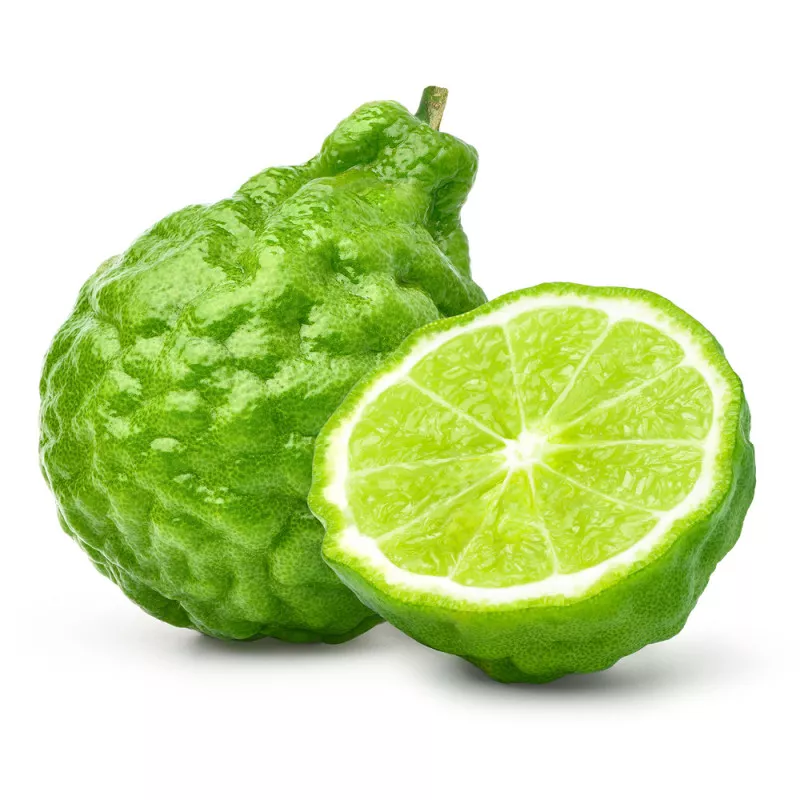 BERGAMOT